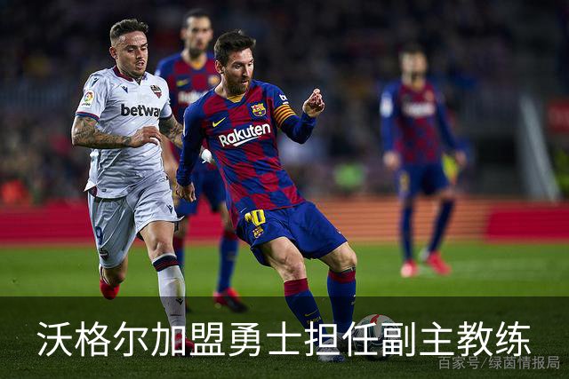 沃格尔加盟勇士担任副主教练